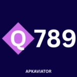 Q789 Game