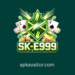 E999 game